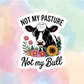 Not My Bull