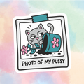 Photo Of My Cat