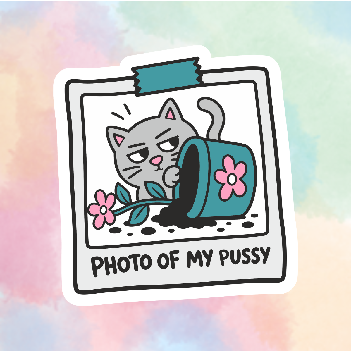Photo Of My Cat