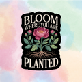 Bloom Where You Are Planted