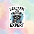 Sarcasm Expert